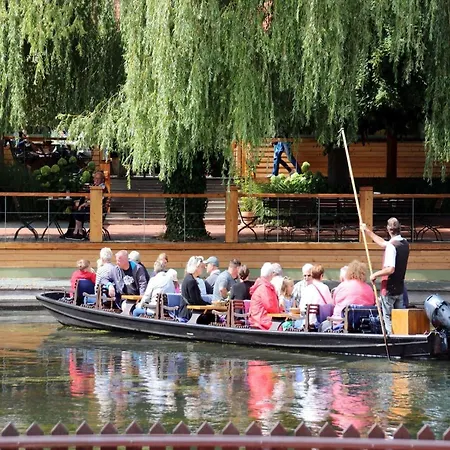 Spreewaldperle, * Alt Zauche