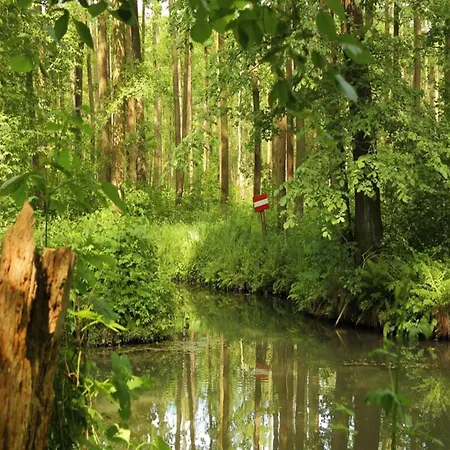 Spreewaldperle, * Alt Zauche