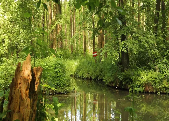 Spreewaldperle, * Alt Zauche